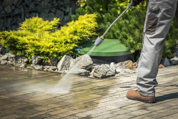 Best Soft Washing  in Palo Alto, CA