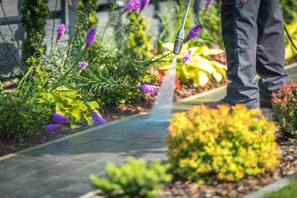 Best Fence Cleaning  in Palo Alto, CA